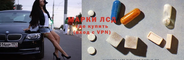 дживик Богданович