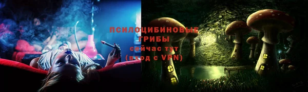 дживик Беломорск