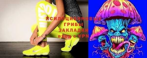 дживик Богданович